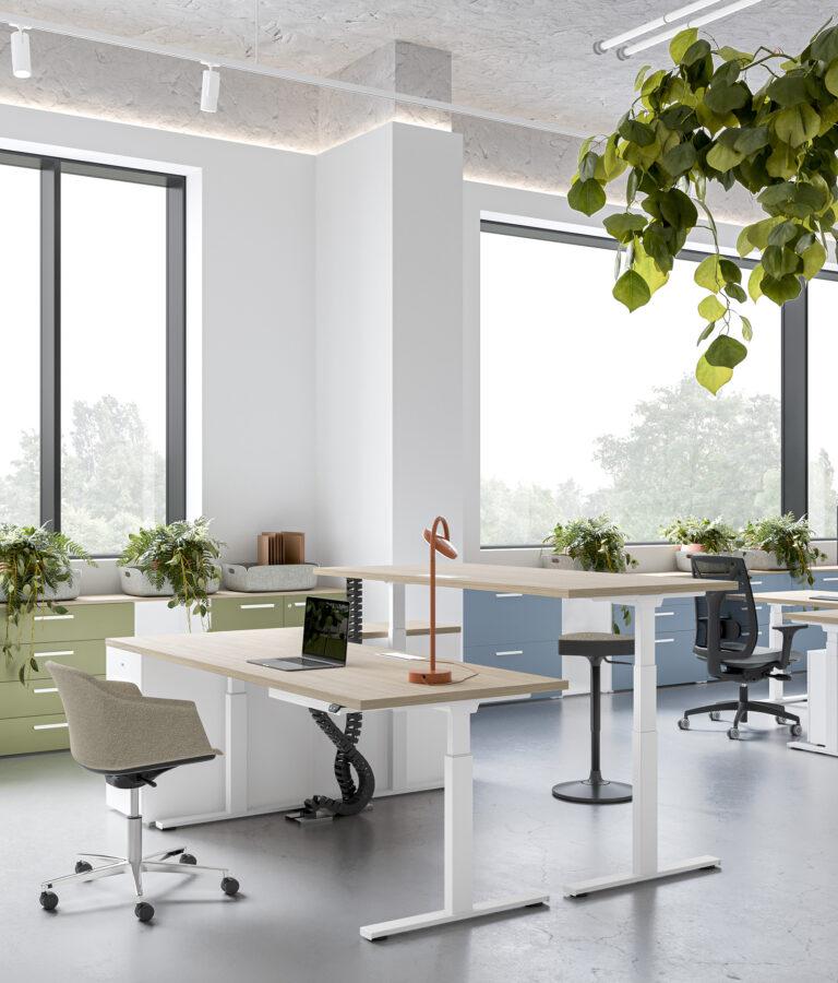 Operativi - Walco Office